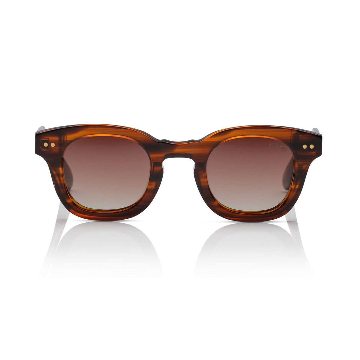 Minted Model 6 Brown Honey | Polarized