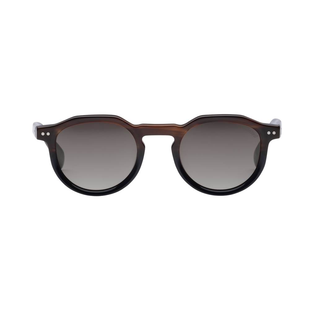 Minted Model 7 Dark Brown | Polarized