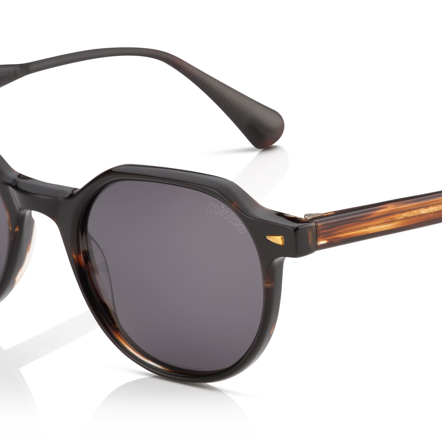 Minted Model 15 Brown Dark Tortoise | Polarized