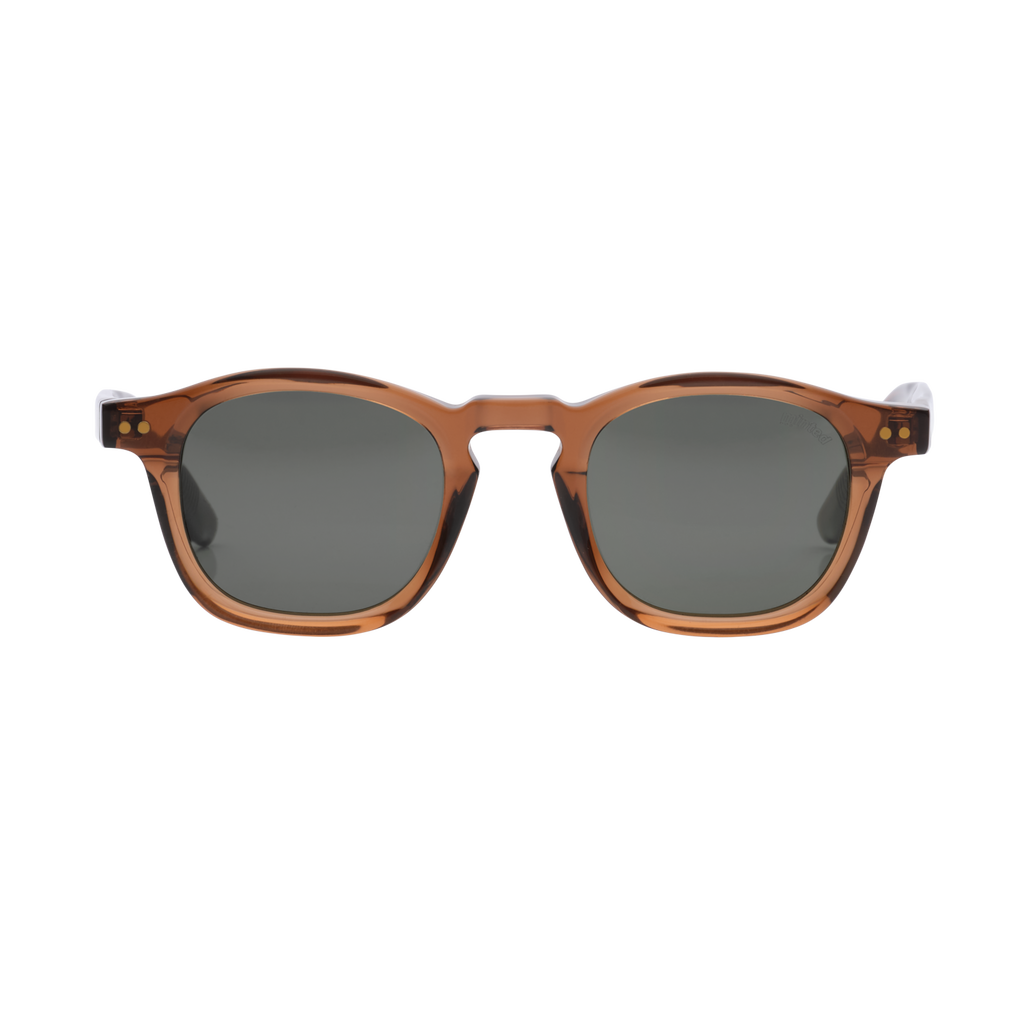 Minted Model 10 Brown | Polarized