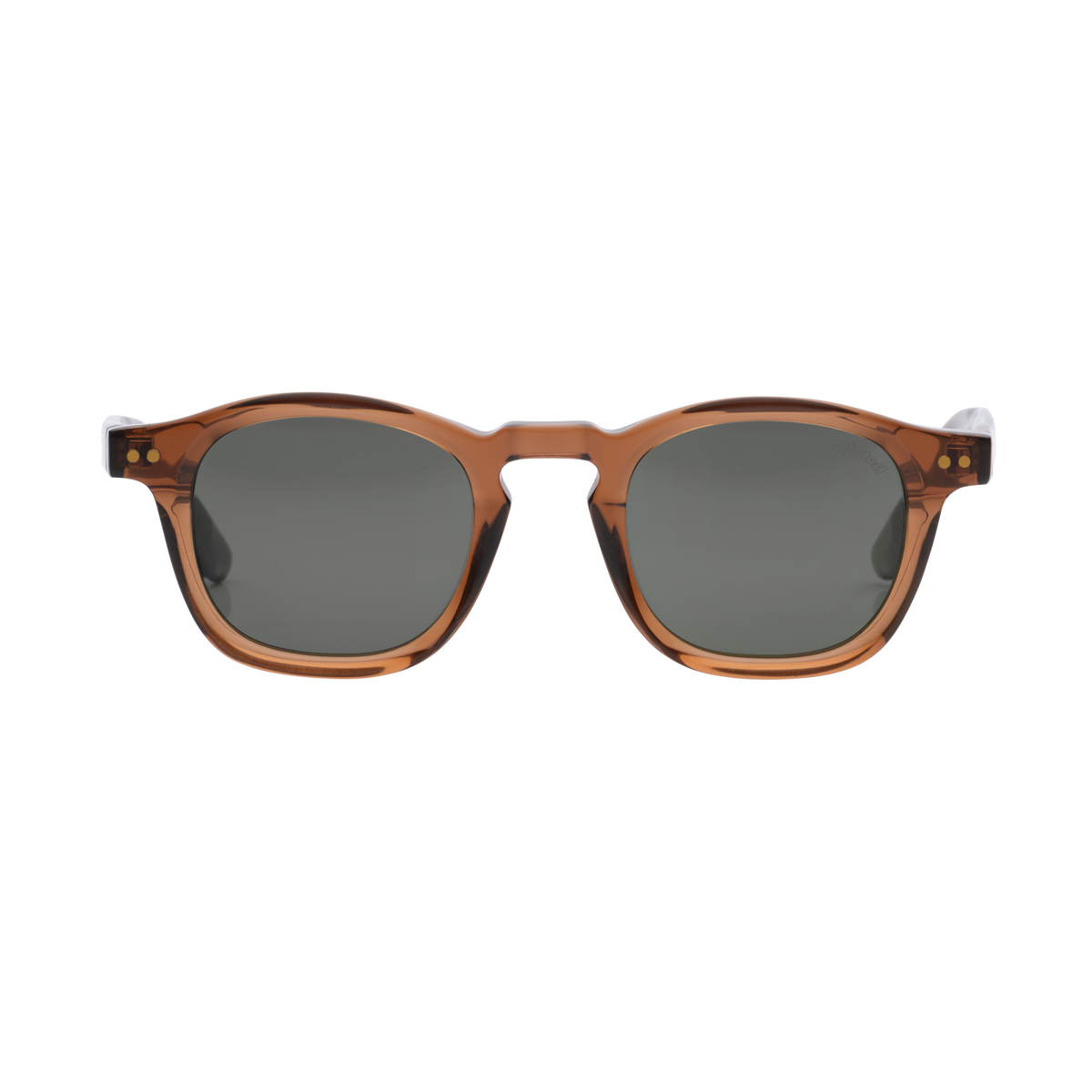 Minted Model 10 Brown | Polarized