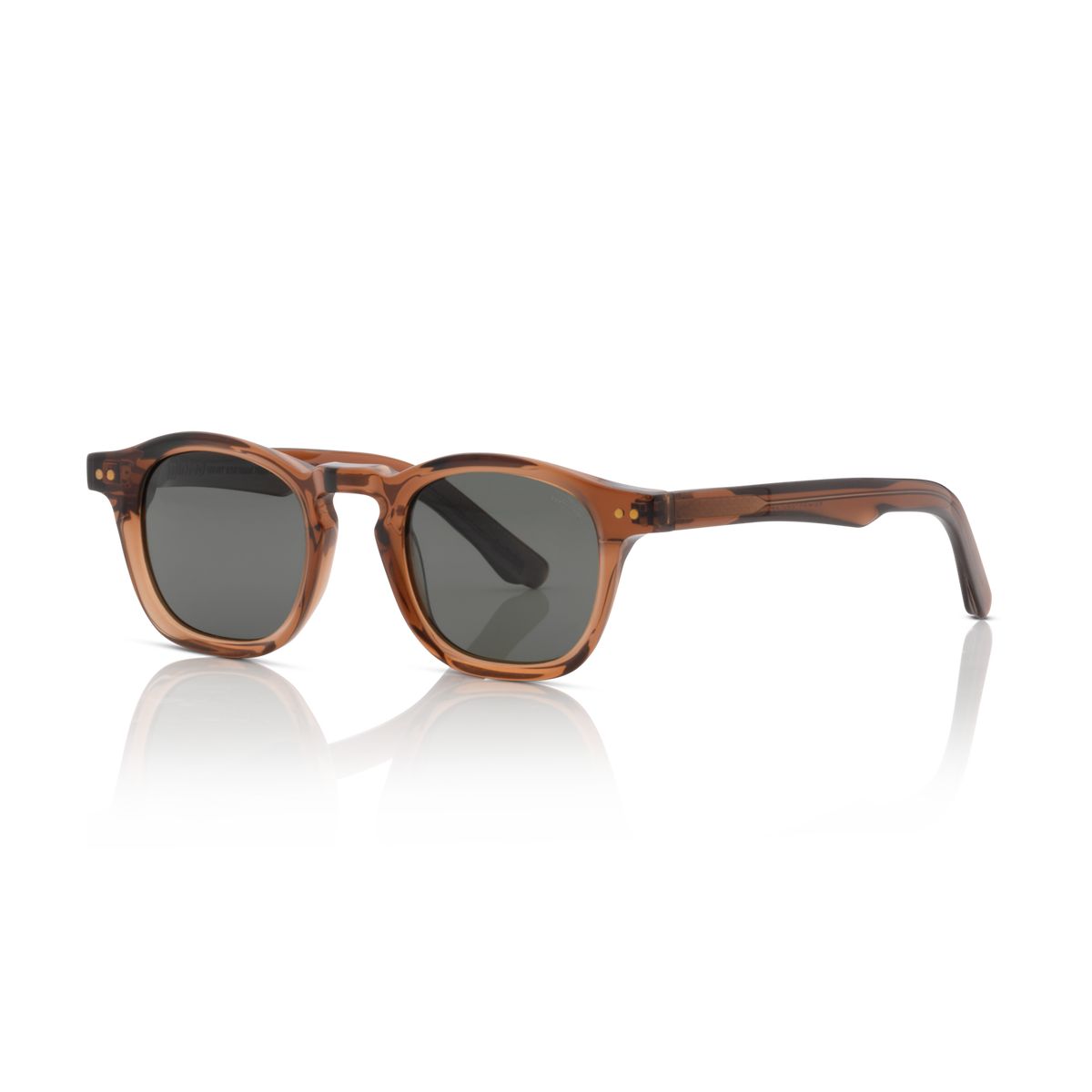 Minted Model 10 Brown | Polarized