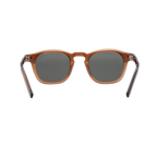 Minted Model 10 Brown | Polarized