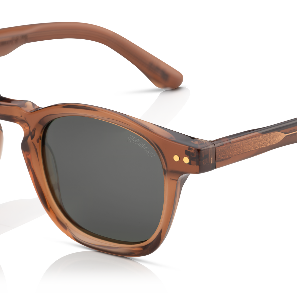 Minted Model 10 Brown | Polarized