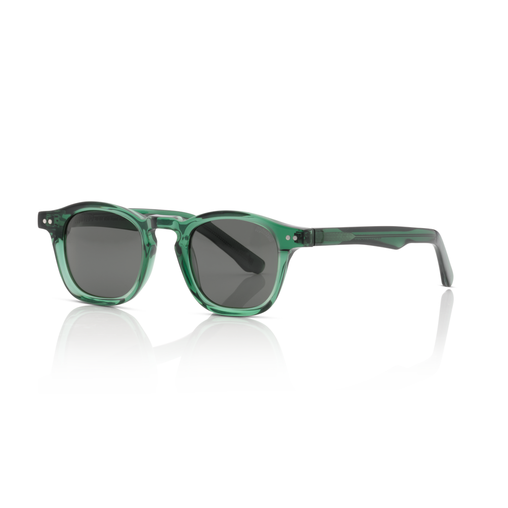 Minted Model 10 Forest | Polarized