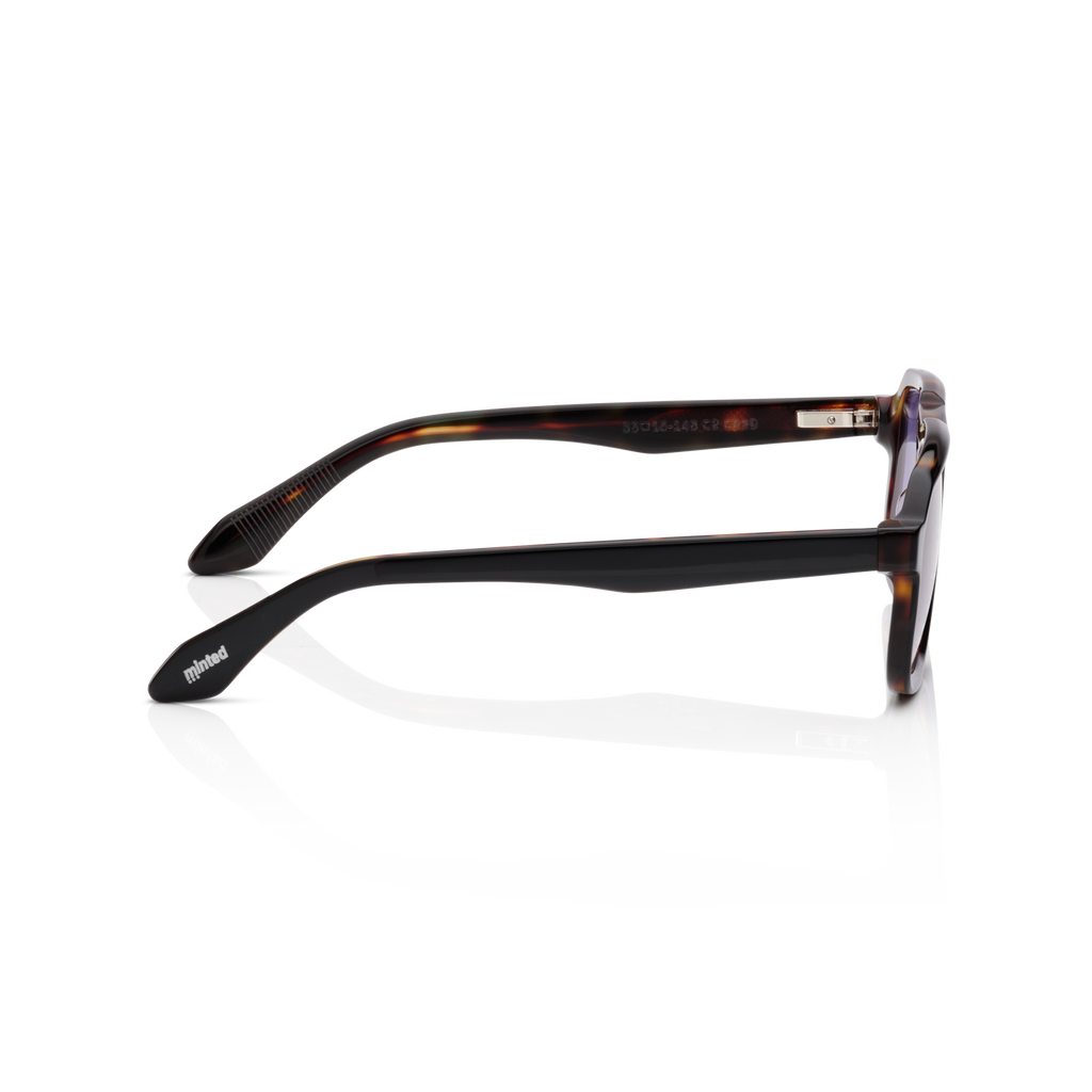 Minted Model 12 Black Tortoise