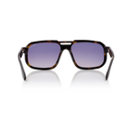 Minted Model 12 Black Tortoise