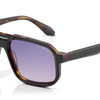 Minted Model 12 Black Tortoise