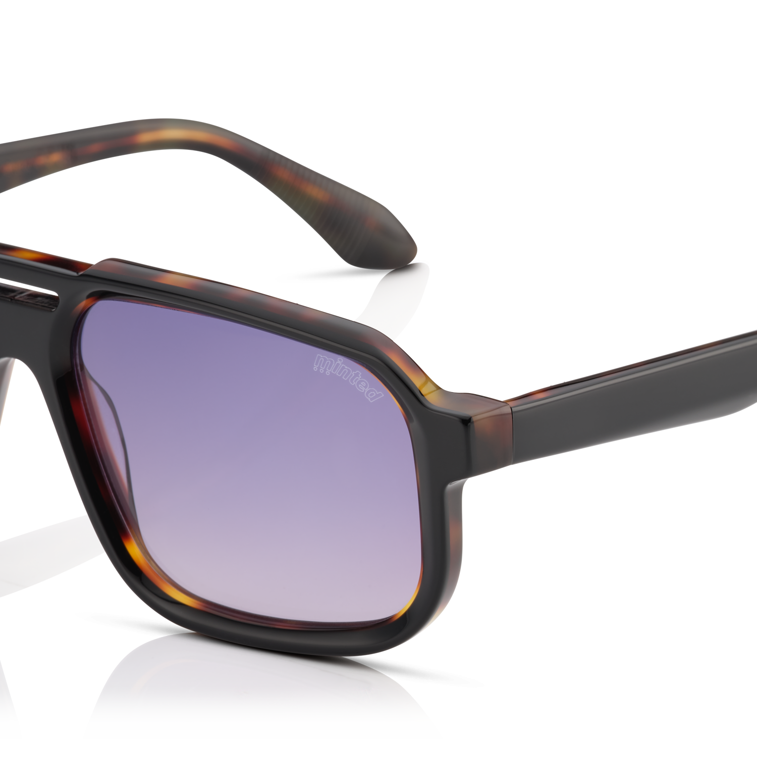 Minted Model 12 Black Tortoise