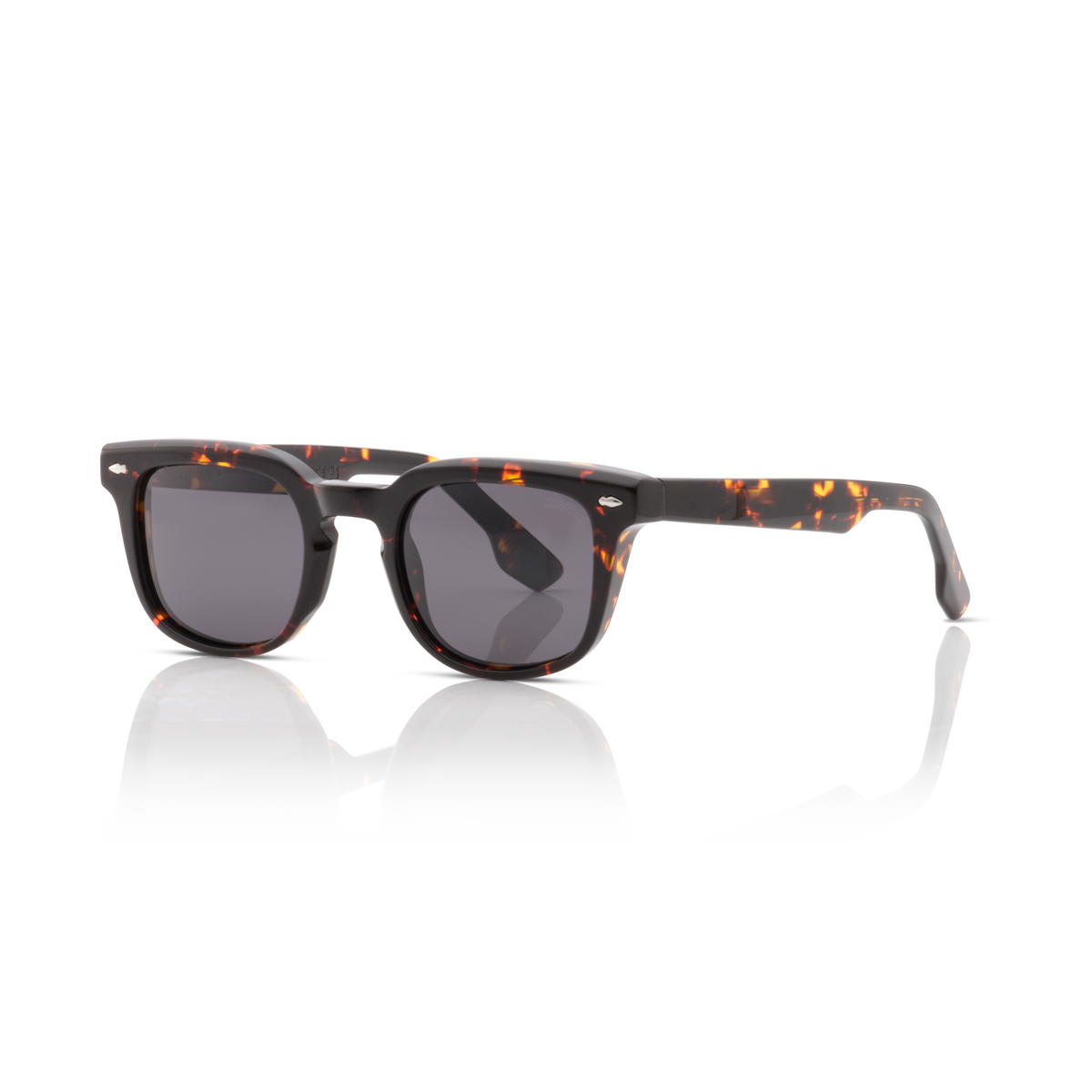 Minted Model 14 Brown Tortoise | Polarized