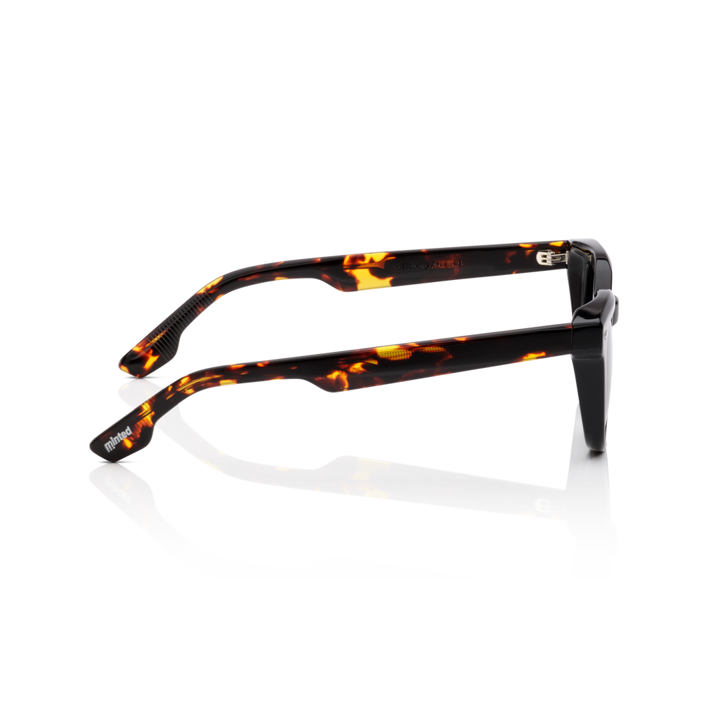 Minted Model 14 Black Tortoise | Polarized