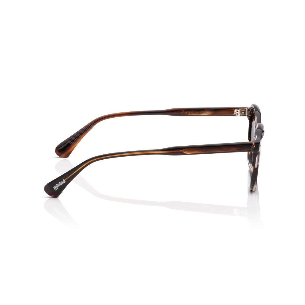Minted Model 15 Brown Dark Tortoise | Polarized