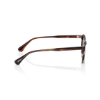 Minted Model 15 Brown Dark Tortoise | Polarized