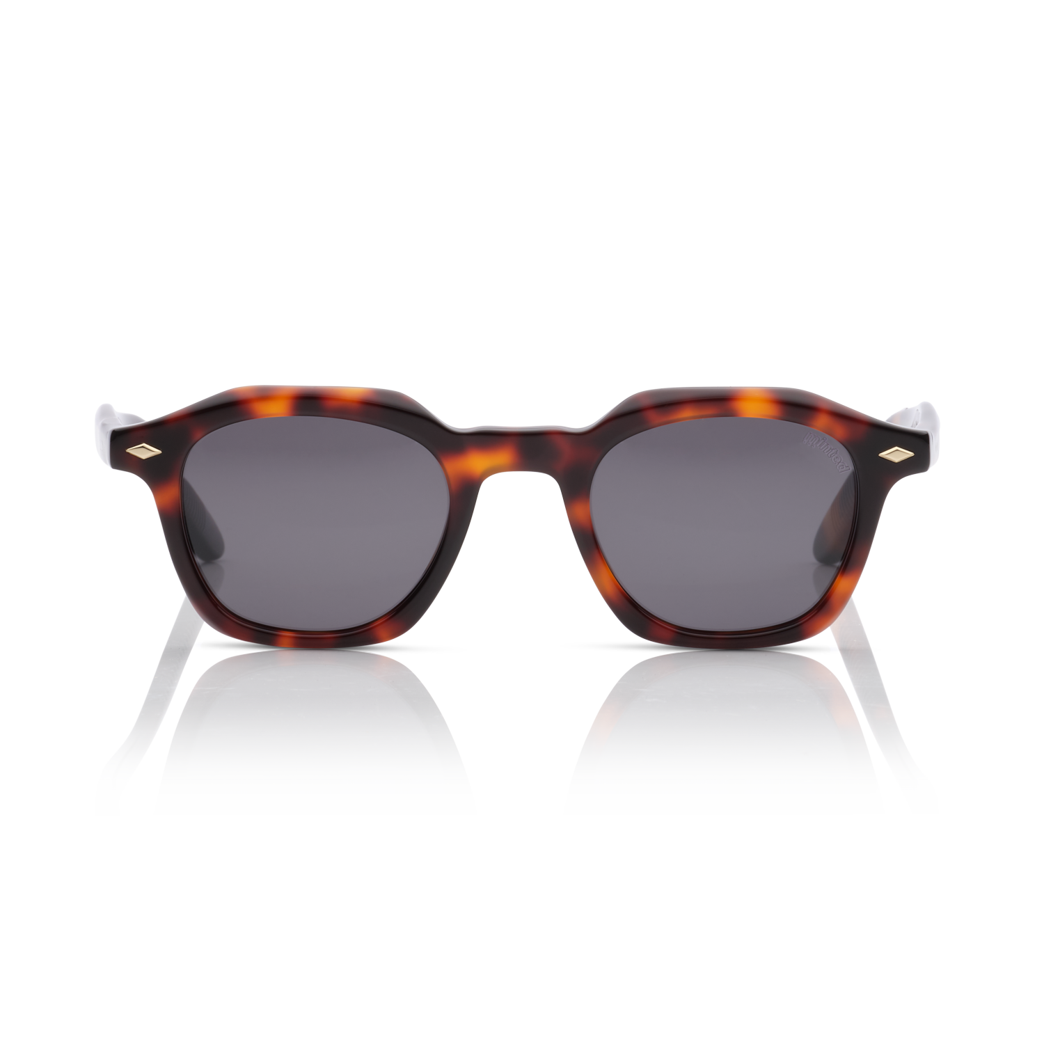 Minted Model 16 Havanna | Polarized