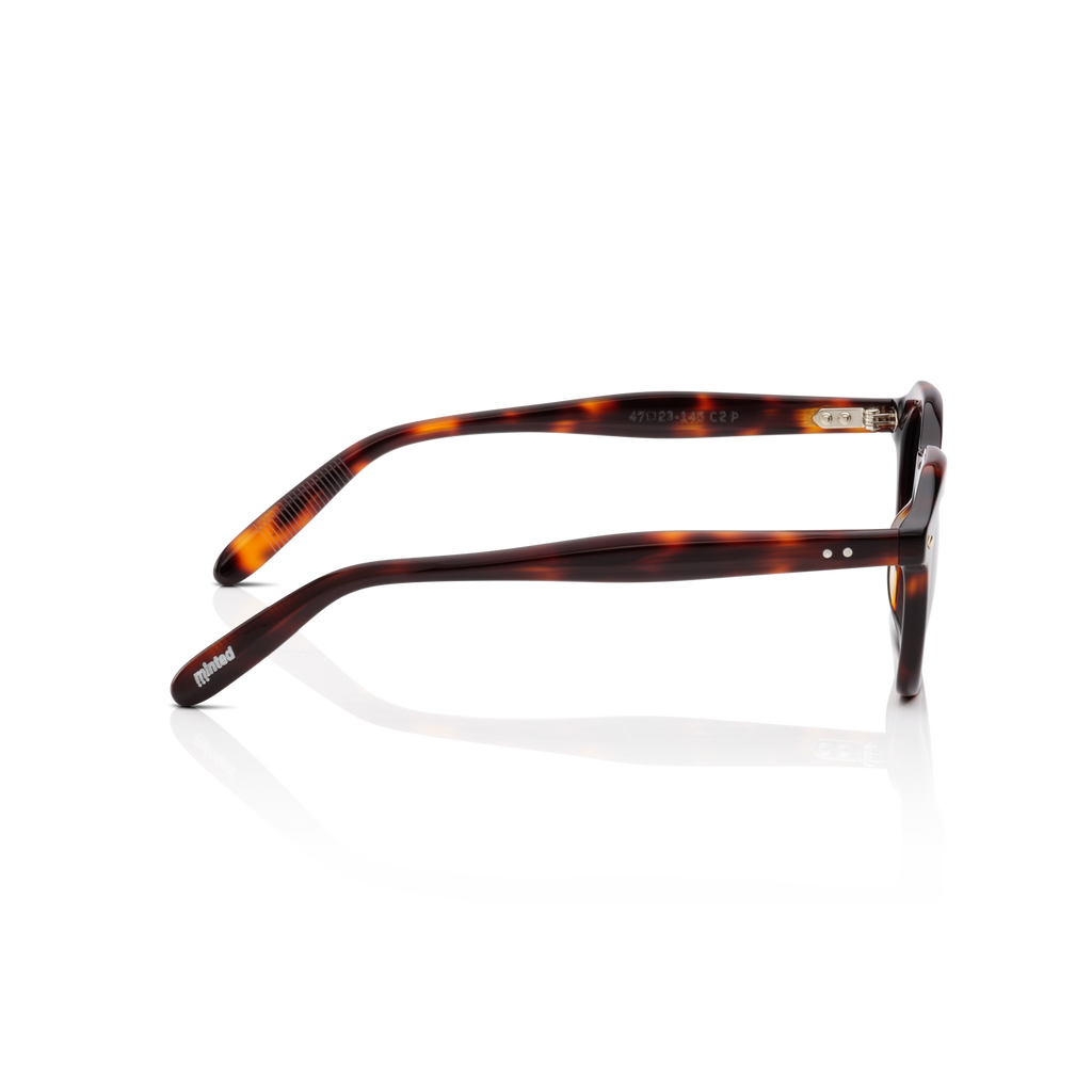 Minted Model 16 Havanna | Polarized