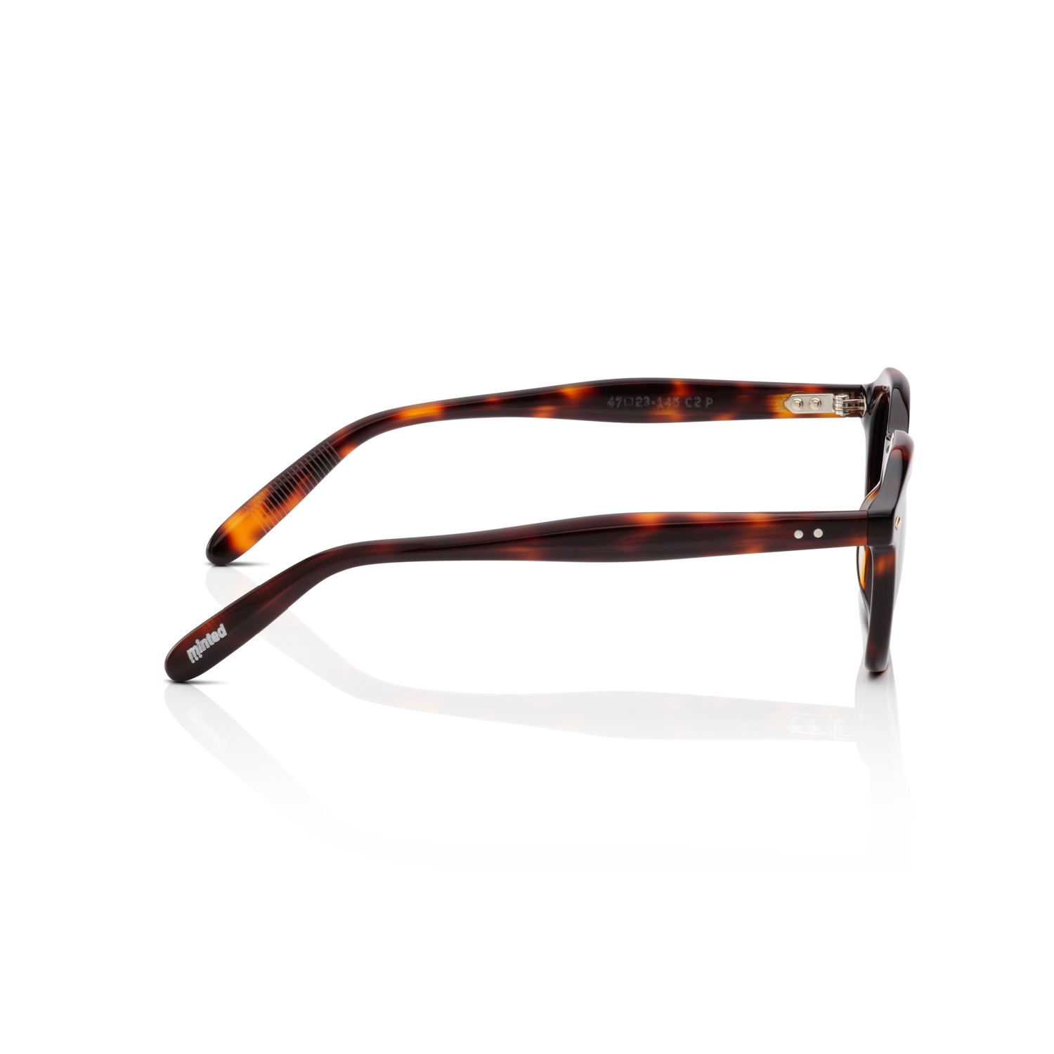 Minted Model 16 Havanna | Polarized