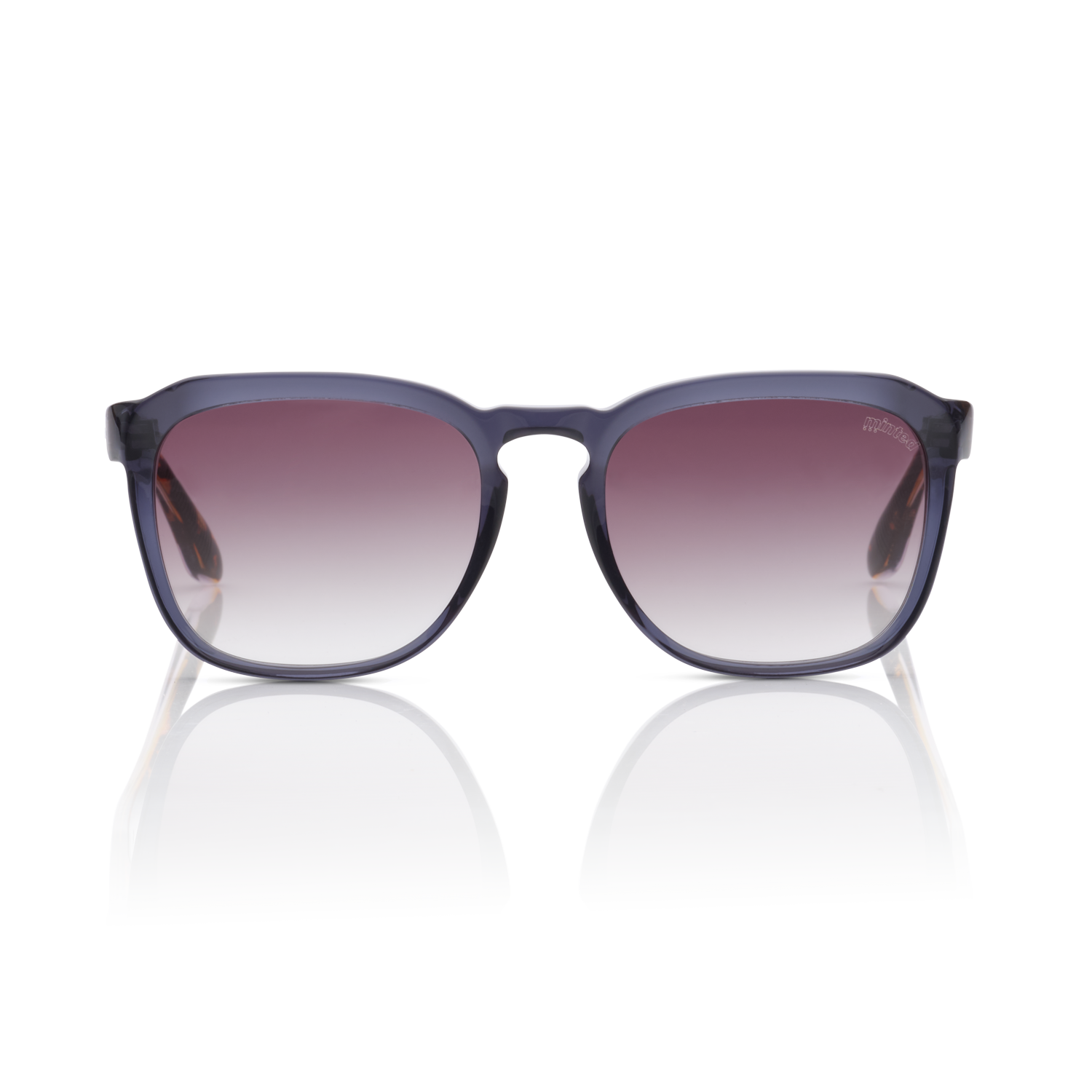 Minted Model 19 Blue Tortoise