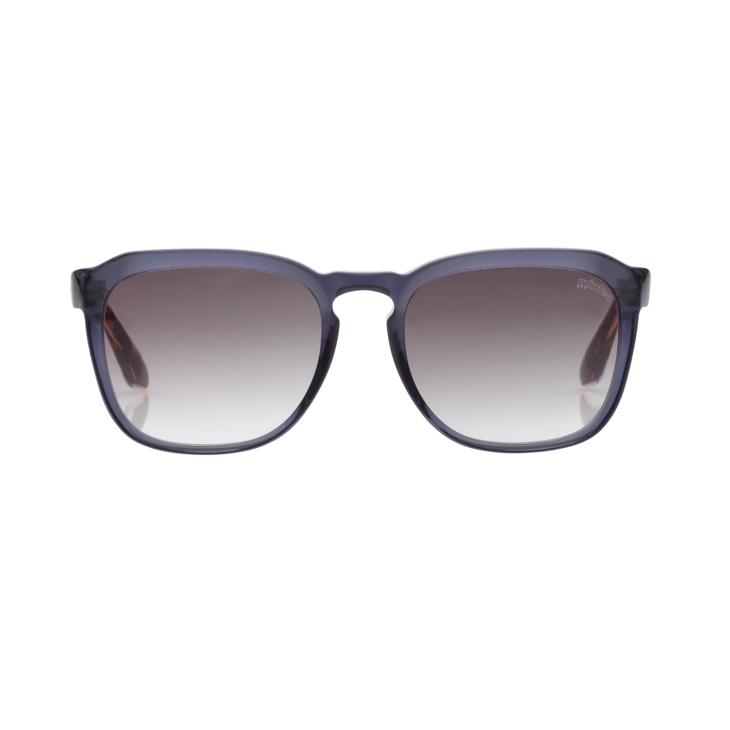 Minted Model 19 Blue Tortoise