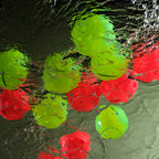 Red indoor and green outdoor Cannonballz pickleball balls floating on water.