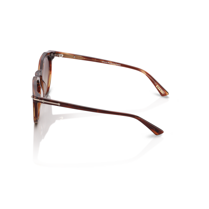 Mente Maestro Brown Havana - Frame 14