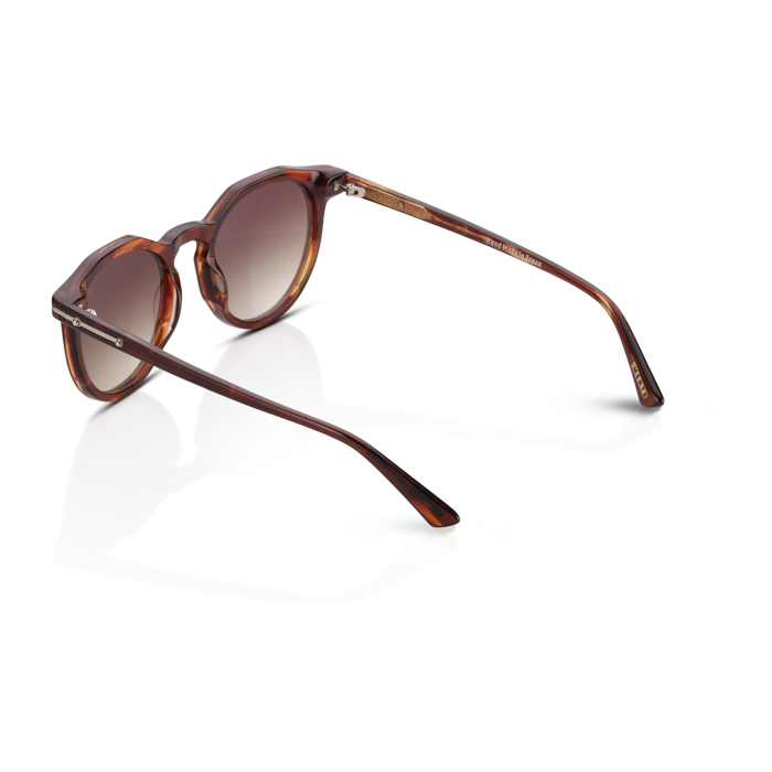 Mente Maestro Brown Havana - Frame 18