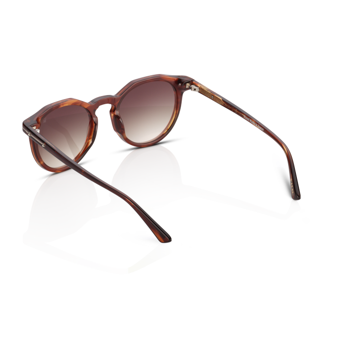 Mente Maestro Brown Havana - Frame 20