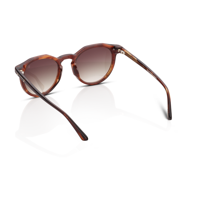 Mente Maestro Brown Havana - Frame 21