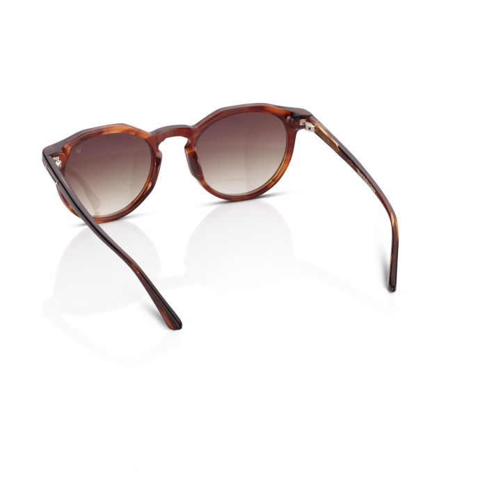 Mente Maestro Brown Havana - Frame 22