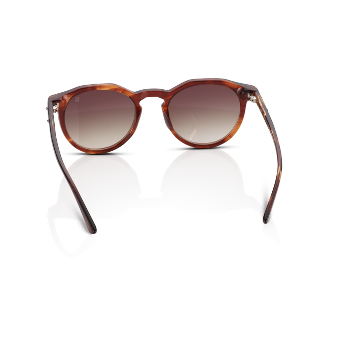 Mente Maestro Brown Havana - Frame 24