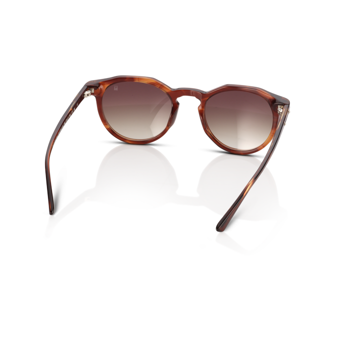 Mente Maestro Brown Havana - Frame 27