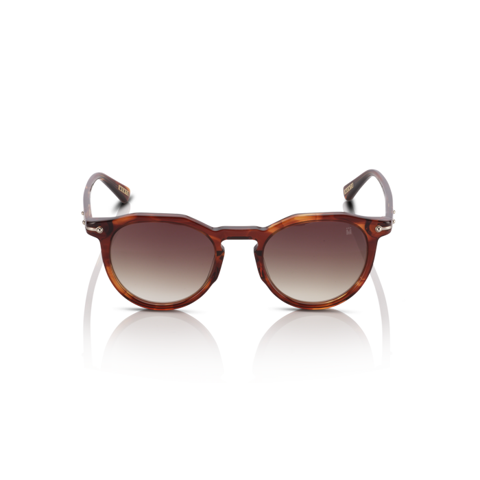 Mente Maestro Brown Havana - Frame 49