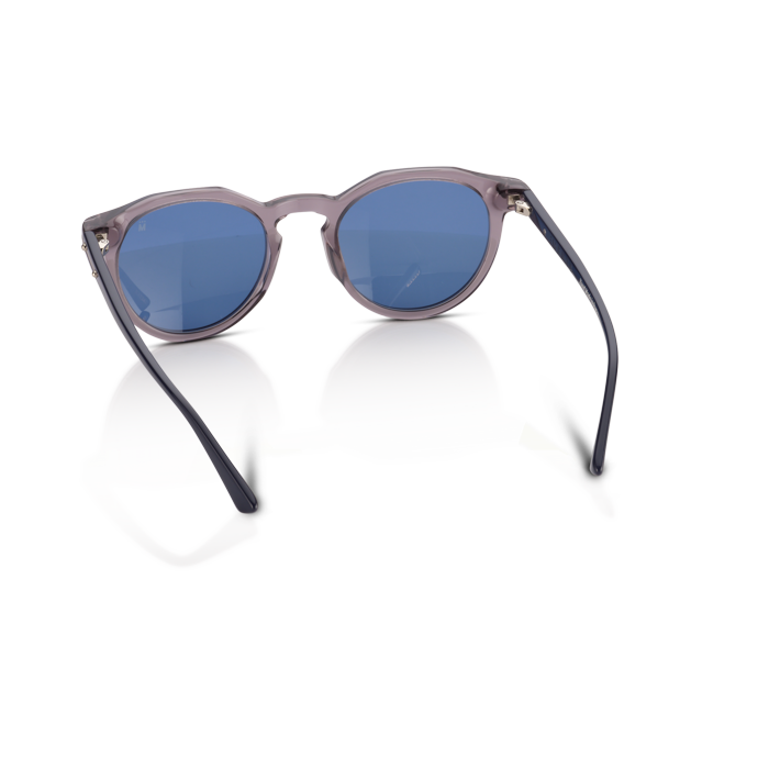 Mente Maestro Transparent Grey & Navy Blue - Frame 23