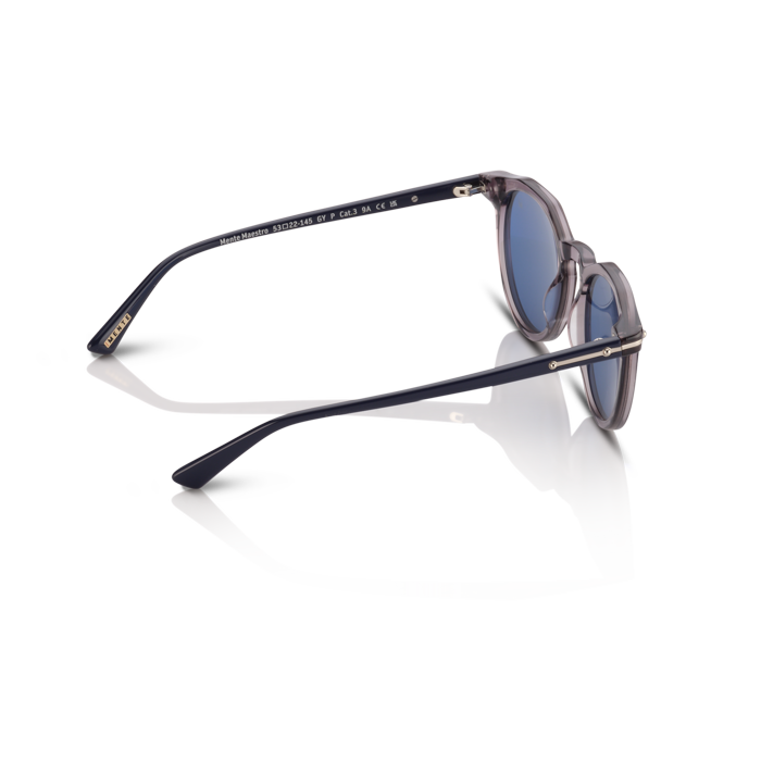Mente Maestro Transparent Grey & Navy Blue - Frame 35