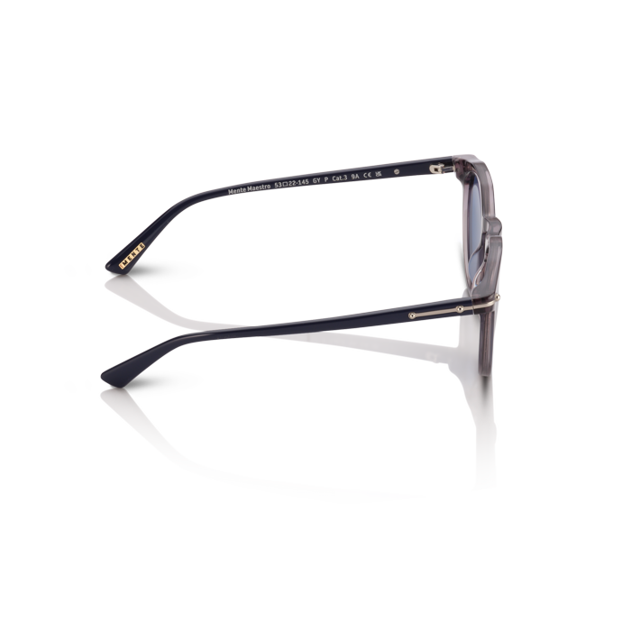 Mente Maestro Transparent Grey & Navy Blue - Frame 37
