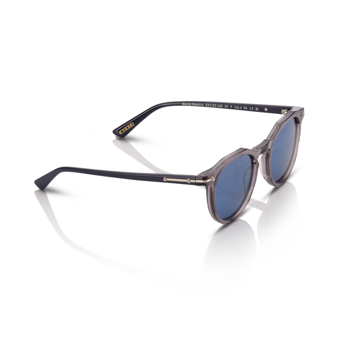Mente Maestro Transparent Grey & Navy Blue - Frame 41