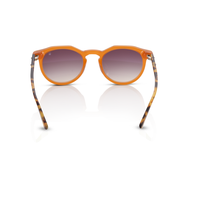 Mente Maestro Honey & Brown Havana - Frame 24