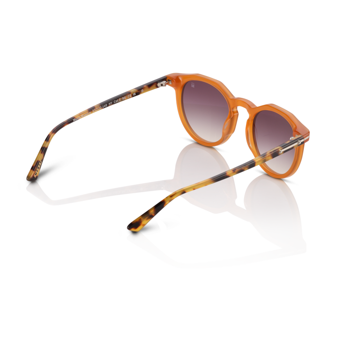 Mente Maestro Honey & Brown Havana - Frame 31