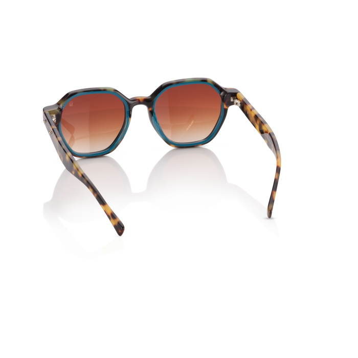 Mente Mirroir Brown Havana & Solid Teal - Frame 23