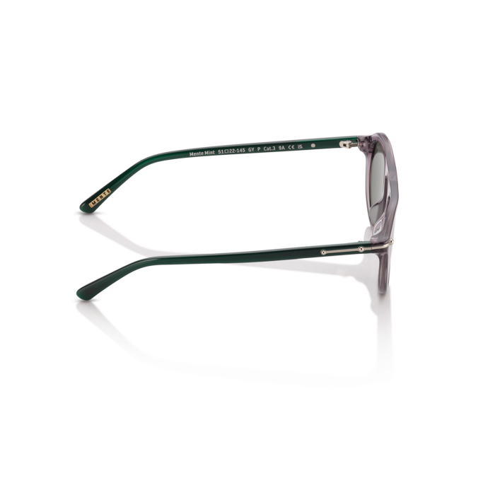 Mente Mint Transparent Grey & Forest Green - Frame 37