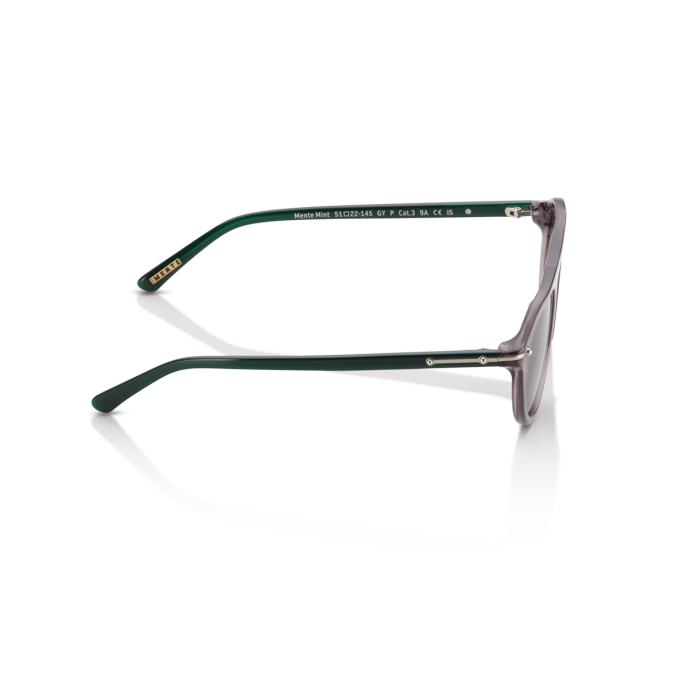 Mente Mint Transparent Grey & Forest Green - Frame 38