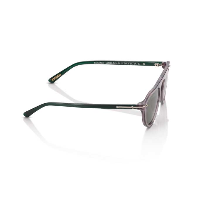 Mente Mint Transparent Grey & Forest Green - Frame 39