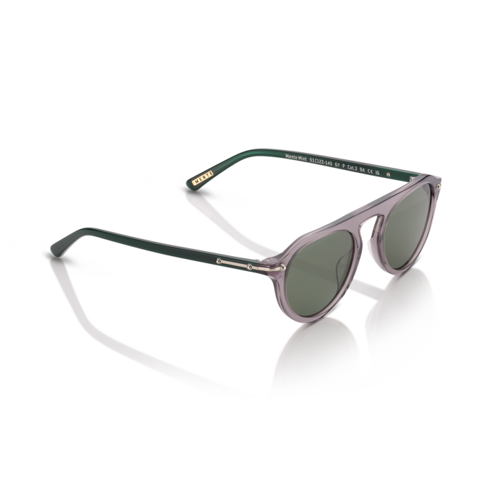 Mente Mint Transparent Grey & Forest Green - Frame 42