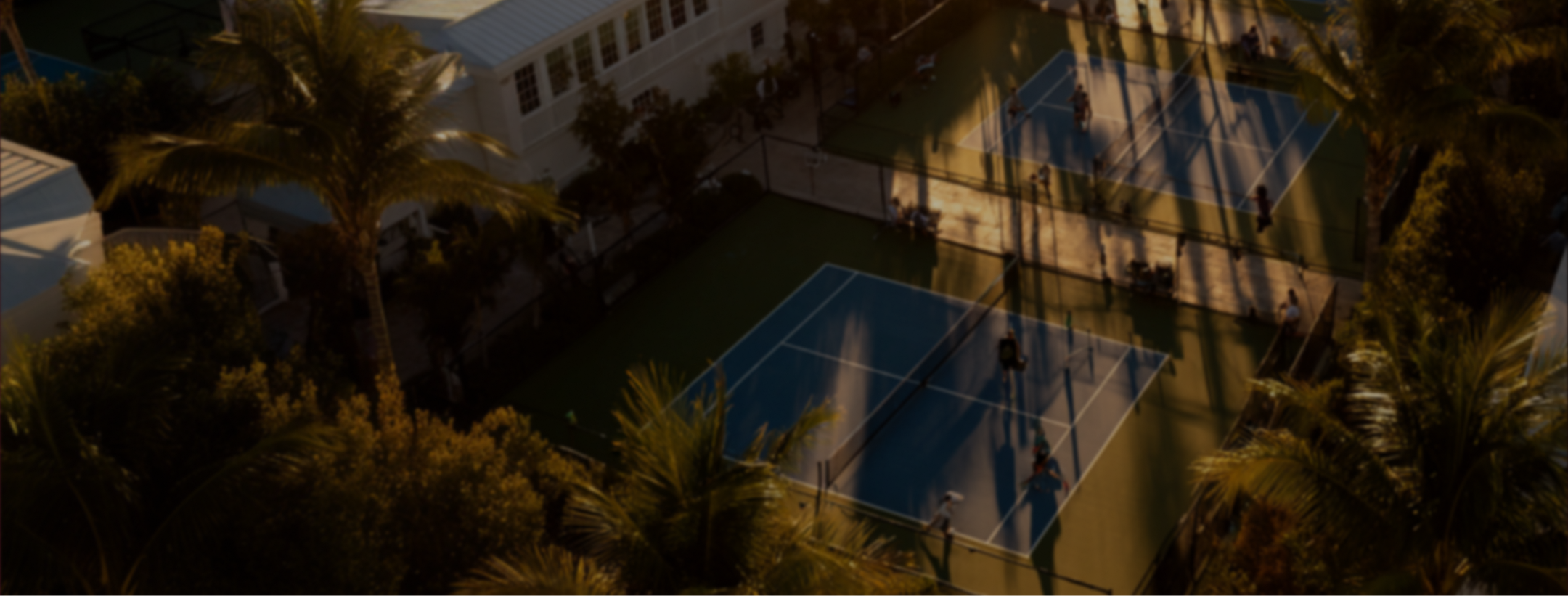 Outdoor aerial view of pickleball courts at dusk surrounded by palm trees