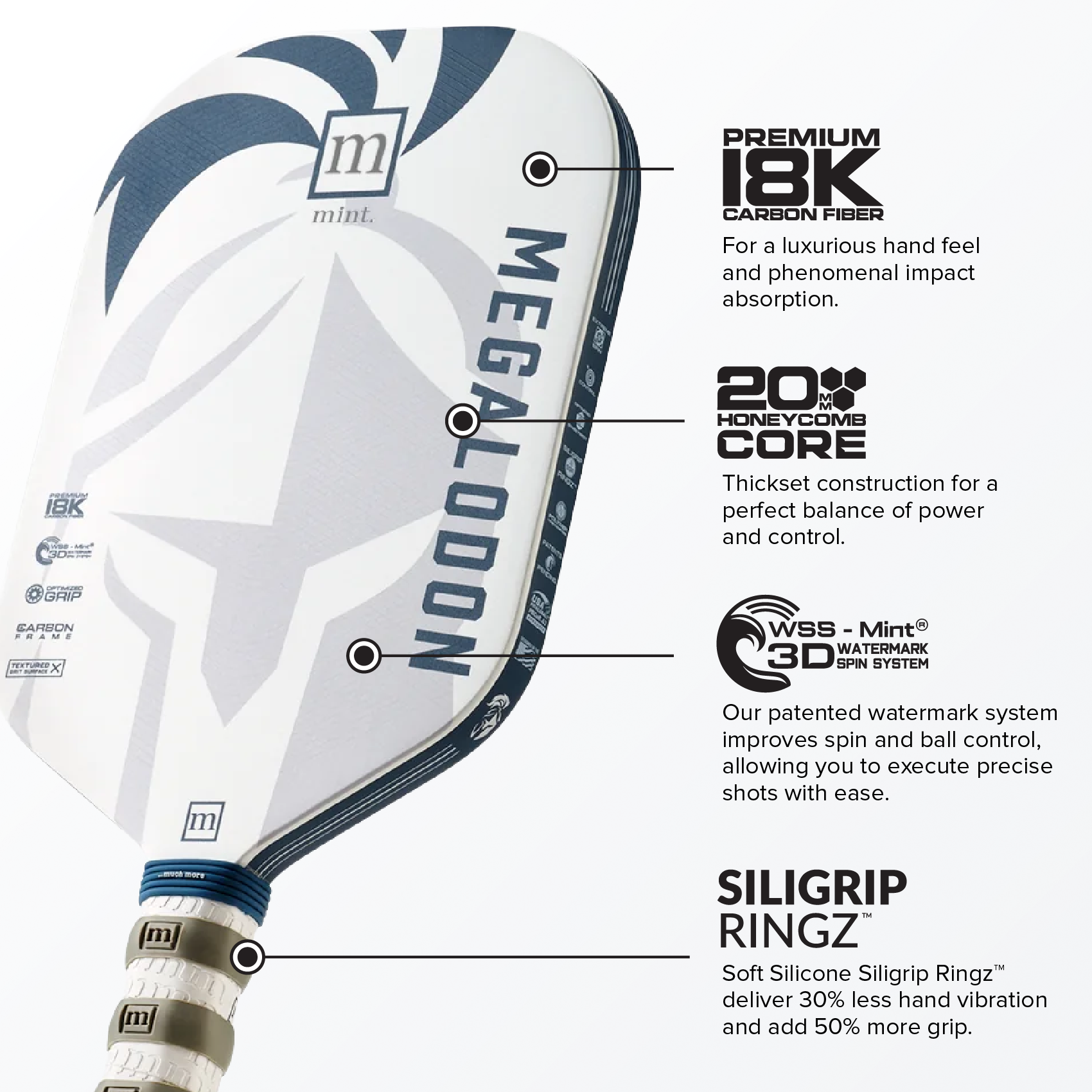 Megalodon